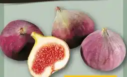 REWE Center Feige Angebot