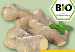 REWE Center Bio Ingwer Angebot