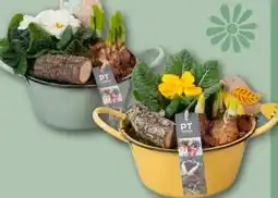 REWE Center Frühjahrsschale Spring Angebot