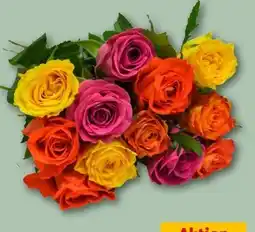 REWE Center Strauss Rosen Harlekin Angebot