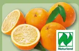 REWE Center Rewe Bio Orangen Angebot