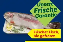 Lidl Fischerstolz Lachsforelle Angebot