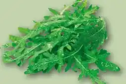 REWE Center Rucola Angebot