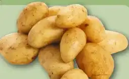 REWE Center Speisekartoffeln Angebot