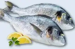 REWE Center Dorade Royale Angebot