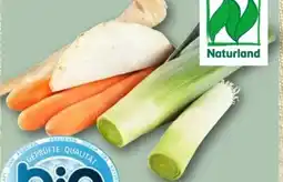 REWE Center Bio Suppengrün Angebot