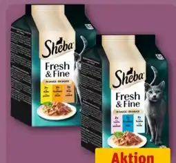 REWE Center Sheba Fresh & Fine Angebot