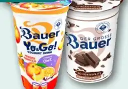 REWE Bauer Yo & Go Yoghurt Drink Angebot