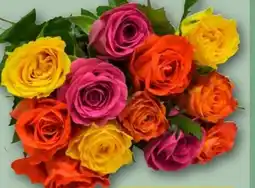 REWE Strauss Rosen Harlekin Angebot