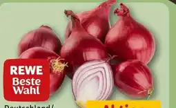 REWE Rewe Beste Wahl Speisezwiebeln Angebot