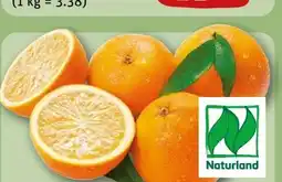 REWE Rewe Bio Orangen Angebot