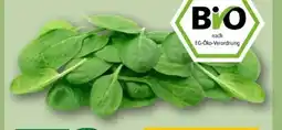REWE Rewe Bio Baby Spinat Angebot