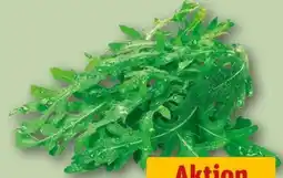 REWE Rucola Angebot