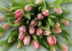 REWE Tulpenstrauß Delight Angebot