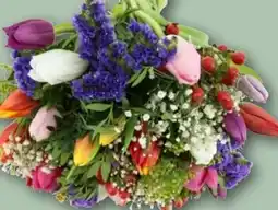 REWE Tulpenstrauß Festival Angebot