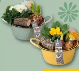 REWE Frühjahrsschale Spring Angebot