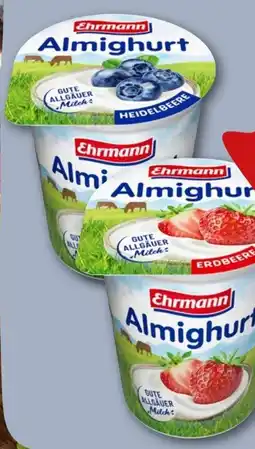 REWE Ehrmann Almighurt Angebot