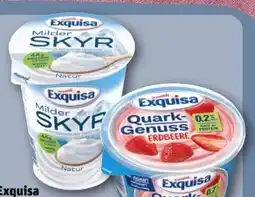 REWE Exquisa Milder Skyr Angebot
