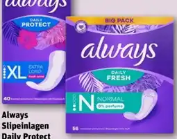 REWE Always Daily Fresh Slipeinlagen Angebot
