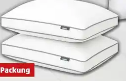 PENNY John Cotton Kopfkissen Angebot