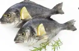 Edeka Dorade Royale Angebot