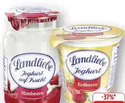 Edeka Landliebe Joghurt Angebot