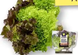 Edeka Edeka Herzstücke Blattsalat-Mix Angebot