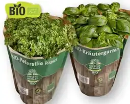 Scheck-in-Center Unsere Heimat echt & gut Bio Petersilie kraus im Topf Angebot