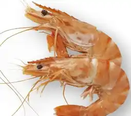 Scheck-in-Center Crevetten Rose Angebot