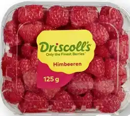 Scheck-in-Center Driscoll's Himbeeren Angebot