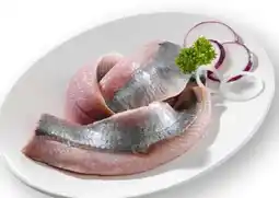 Scheck-in-Center Matjesfilet Angebot