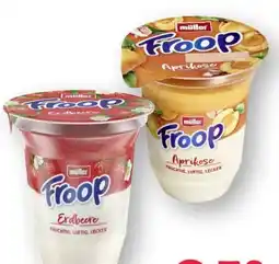 Scheck-in-Center Müller Froop Angebot