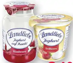 Scheck-in-Center Landliebe Joghurt Angebot