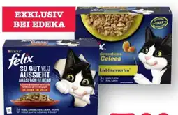 Scheck-in-Center Purina Felix Katzennahrung Angebot