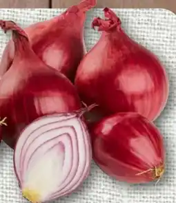 nahkauf Rewe Regional Speisezwiebeln Angebot