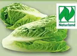 REWE Center Rewe Bio Romana Salatherzen Angebot