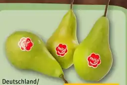 REWE Migo Tafelbirnen Angebot