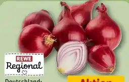 REWE Rewe Regional Speisezwiebeln Angebot