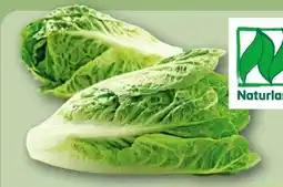 REWE Rewe Bio Romana Salatherzen Angebot