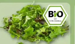 REWE Rewe Bio Crispy Salatmix Angebot