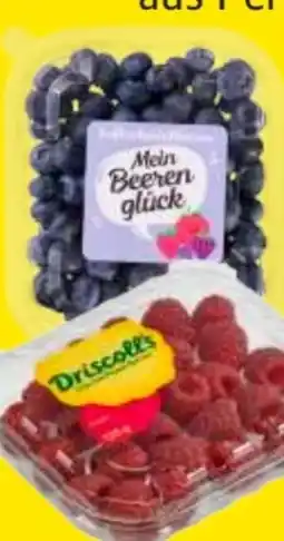 Edeka Frischemarkt Driscoll's Himbeeren Angebot