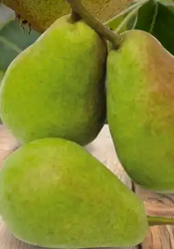 Edeka Unsere Heimat Tafelbirnen Alexander Lucas Angebot