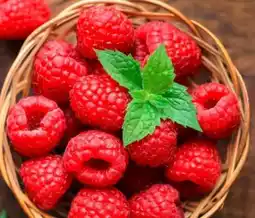 REWE Center Rewe Beste Wahl Frische Himbeeren Angebot