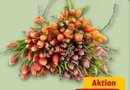 REWE Center Strauß Nordic Whisper Angebot