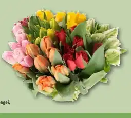 REWE Center Schnitt-Tulpen Sondersorten Angebot