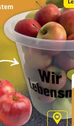 Edeka Tafeläpfel-Jonagold Angebot