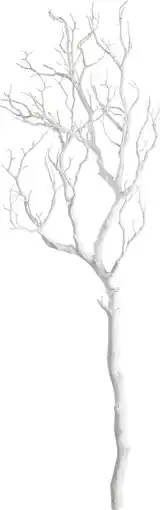 Mömax mömax modern living Dekozweig Sam Angebot