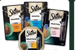 Budni Sheba Katzennahrung Angebot