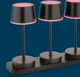 porta Akku-Tischleuchte Angebot