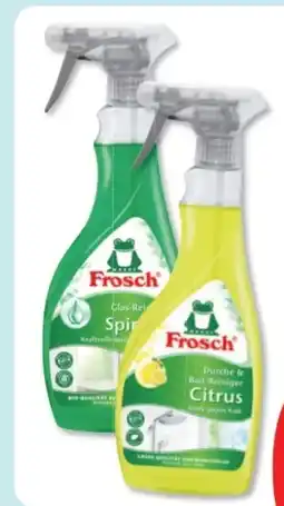 Budni Frosch Reiniger Angebot